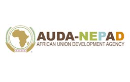 AUDA-NEPAD logo - African Union Development Agency NEPAD